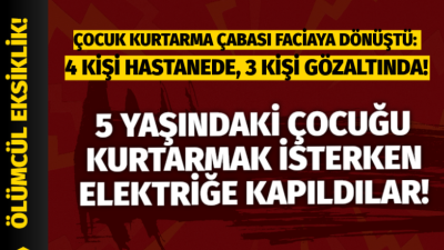 Çay bahçesindeki süs havuzunda 4 kişinin elektrik akımına kapılmasına ilişkin