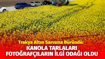 Trakya’da çiçek açan kanola bitkisiyle sarıya bürünen tarlalar, fotoğraf tutkunları