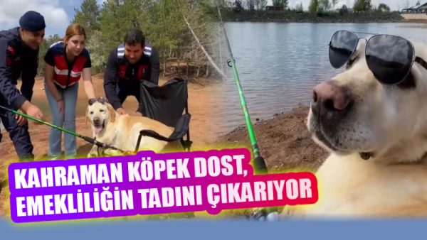 Jandarmanın “iz süren kahramanı” Dost, tam 13 yıllık fedakâr hizmetinin
