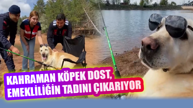 Jandarmanın “iz süren kahramanı” Dost, tam 13 yıllık fedakâr hizmetinin
