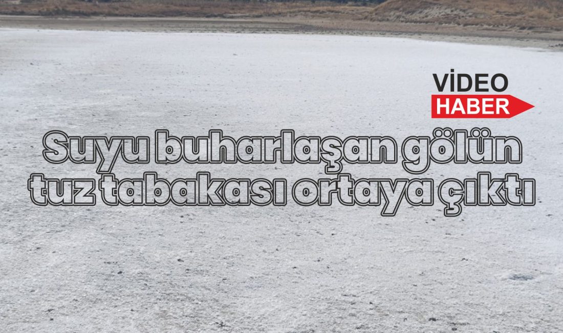 Tuz Havuzuna Dönüşen Gölü Görenler Şaştı Kaldı. Vatandaşlar Gelip Hayvanları