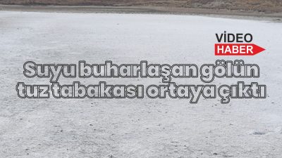 Tuz Havuzuna Dönüşen Gölü Görenler Şaştı Kaldı. Vatandaşlar Gelip Hayvanları