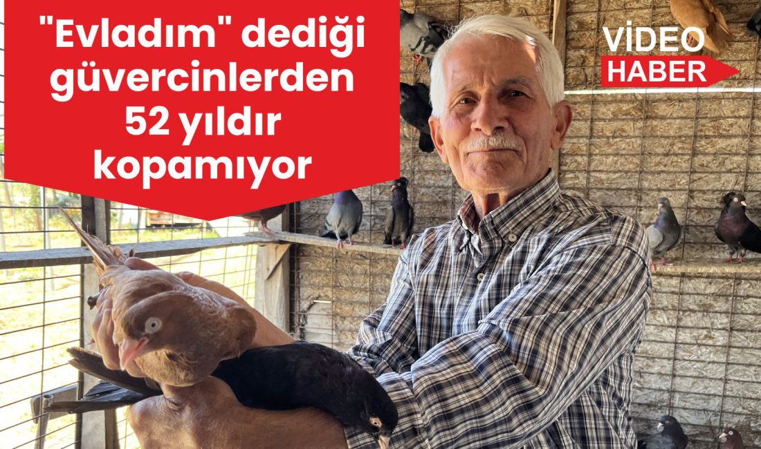 Tekirdağ’ın Hayrabolu ilçesinde yaşayan 80 yaşındaki Hüseyin Batu, güvercinlerine 52