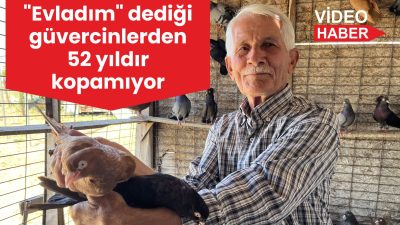 Tekirdağ’ın Hayrabolu ilçesinde yaşayan 80 yaşındaki Hüseyin Batu, güvercinlerine 52