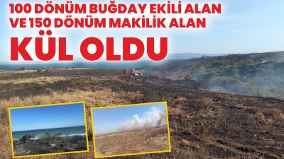 Gelibolu'da çıkan yangında, 100 dönüm buğday ekili alan ve 150