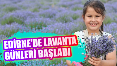 Edirne Valiliği himayesinde, Edirne Belediyesi, Trakya Üniversitesi ve Edirne Tanıtım