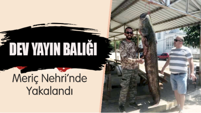 Edirne’nin İpsala ilçesinde, Meriç Nehri’nde amatör balıkçı Recai Ateş, yaklaşık