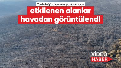 Tekirdağ'ın Şarköy ilçesindeki orman yangınına havadan ve karadan müdahale sürüyor.