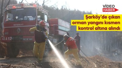 15 söndürme uçağı, 19 söndürme helikopteri, 500'e yakın kara aracı