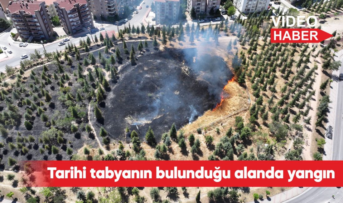 Edirne'deki Kavgaz Tabya'nın bulunduğu bölgede otluk alanda çıkan yangın söndürüldü.