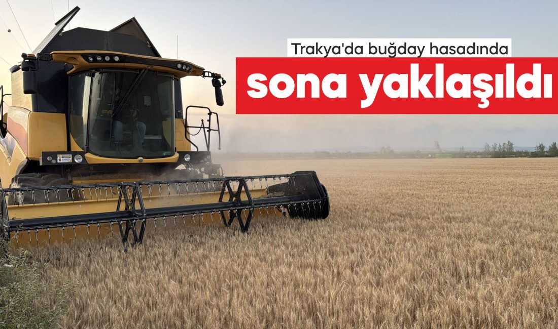 Türkiye'nin buğday ihtiyacının önemli kısmını karşılayan Edirne, Kırklareli ve Tekirdağ'da