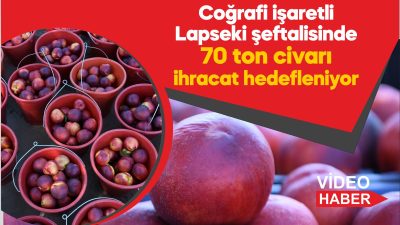 Bölge halkı için önemli bir gelir kaynağı olan Lapseki şeftalisi,