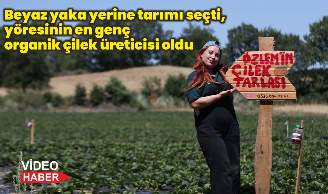 Üniversite eğitimini tamamladıktan sonra doğup büyüdüğü topraklara geri dönen 21