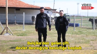 Belçika’dan Kırklareli’ne gelen çift, devlet desteğiyle büyükbaş hayvan besiciliğine başladı.
