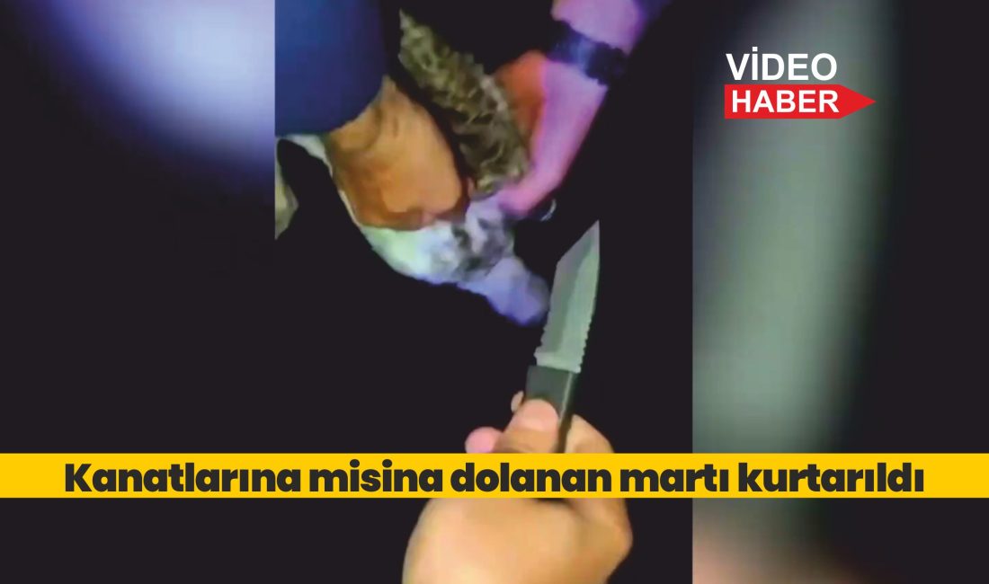 Denizde kanatlarına misina dolanan martı, polis ekiplerince kurtarıldı.