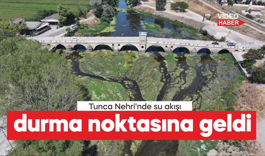 Edirne'nin önemli su kaynaklarından Tunca Nehri'nde, kuraklık ve aşırı sıcaklara