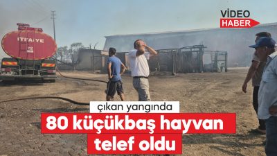 Hayvanlarını alevlerden kurtarmaya çalışan kişi yaralandı