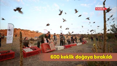 Yaban hayatının korunması ve doğal dengeyi desteklemek amacıyla doğaya 600