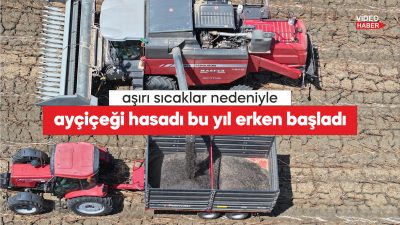 Türkiye'nin önemli ayçiçeği üretim merkezlerinden Edirne'de, ayçiçeği hasadı bu yıl