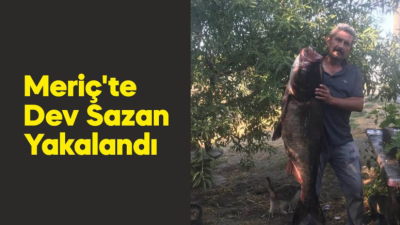 Meriç Nehri'nde 1 metre 20 santimetre boyunda gümüş sazanı yakalandı