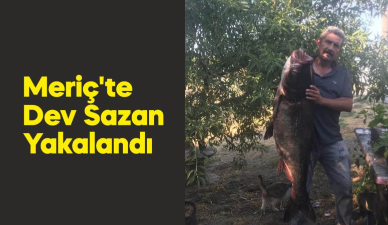 Meriç Nehri'nde 1 metre 20 santimetre boyunda gümüş sazanı yakalandı