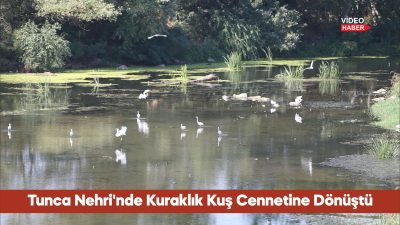 Edirne'de kuraklık nedeniyle su seviyesi düşen Tunca Nehri yatağında oluşan
