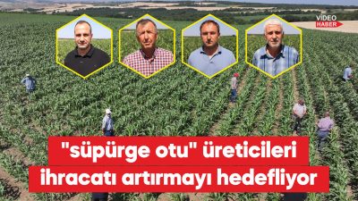 Uzunköprü ilçesine bağlı köylerinde kuraklığa dayanıklılığıyla bilinen süpürge otu üretiminin