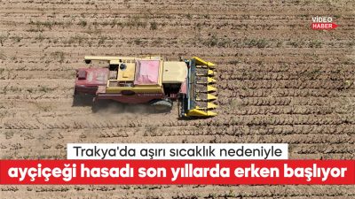 Türkiye'nin önemli ayçiçeği üretim merkezlerinden Trakya'da, ayçiçeği hasadı son yıllarda