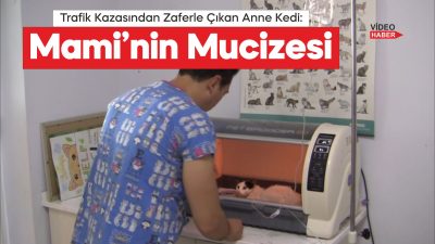 Çanakkale'nin Eceabat ilçesinde bir aracın çarpması sonucu kalçası kırılan hamile