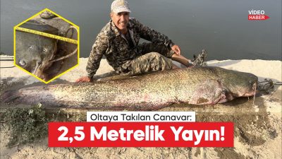 Edirne'de Meriç Nehri'nde, oltayla yaklaşık 2,5 metre boyunda 100 kilogram