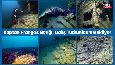 Çanakkale Boğazı, tarihi batıklarının yanı sıra su altı meraklılarının ilgisini