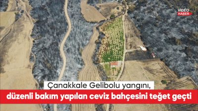 Çanakkale'de son haftalarda çıkan yangınların bazı tarım arazilerini teğet geçmesi,