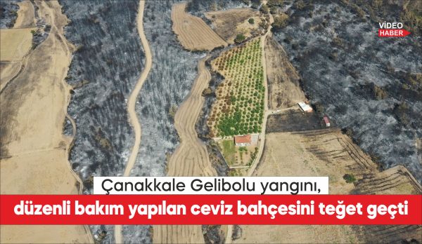 Çanakkale'de son haftalarda çıkan yangınların bazı tarım arazilerini teğet geçmesi,