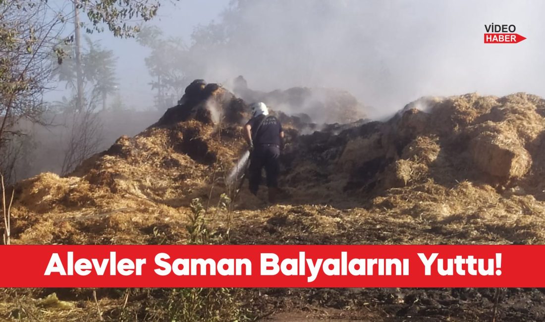 Havsa’da çıkan yangında yaklaşık 500 balya saman zarar gördü