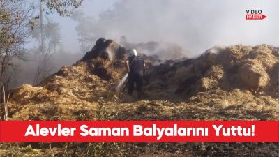 Havsa’da çıkan yangında yaklaşık 500 balya saman zarar gördü