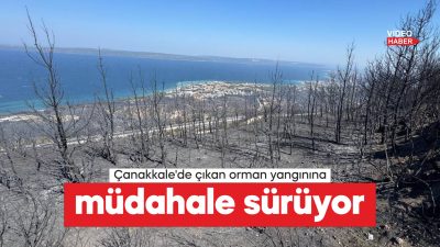 Çanakkale'nin merkez ilçesine bağlı Kepez beldesinde çıkan orman yangınına 2.
