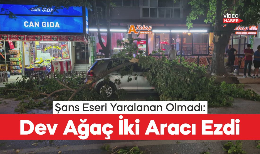 Edirne'de üzerine ağaç devrilen otomobil ve minibüs hasar gördü.