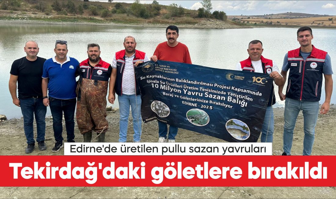 Edirne'de üretilen 975 bin 440 pullu sazan yavrusu, Tekirdağ'daki göl
