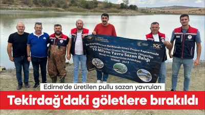 Edirne'de üretilen 975 bin 440 pullu sazan yavrusu, Tekirdağ'daki göl