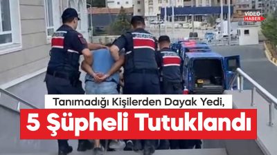Tekirdağ'ın Çerkezköy ilçesinde, bir kişiyi mesire alanında darbettikleri iddiasıyla gözaltına