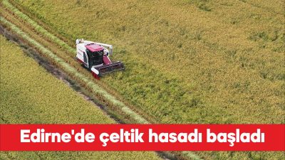Türkiye'deki çeltik üretiminin yarısına yakınının yapıldığı Edirne'de hasat mesaisi başladı.