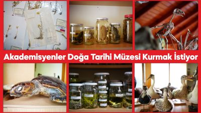 Çanakkale'de akademisyenler, topladıkları sürüngenler ve bitkileri modern bir müzede sergilemek