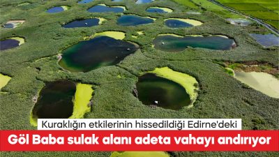 Şiddetli kuraklık nedeniyle pek çok su kaynağının kuruma noktasına geldiği