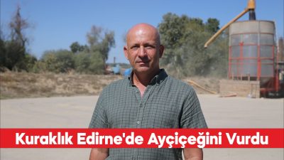 Edirne'de kuraklık ve sıcaklar bu yıl da ayçiçeğinde verimi düşürdü.