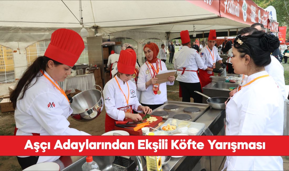 Edirne Gastronomi Festivali'nde aşçı adayları en lezzetli ekşili köfteyi yapmak