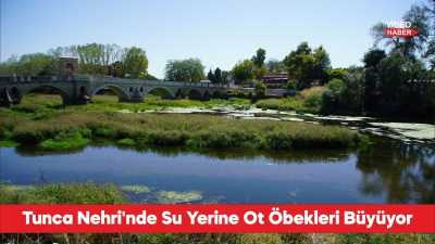 Tunca Nehri'nde kuraklık nedeniyle su akışının durduğu alanlar ot öbekleriyle