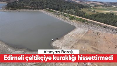 Kış aylarında Meriç Nehri'nden basılan suyla doldurulan Edirne'nin Uzunköprü ilçesindeki