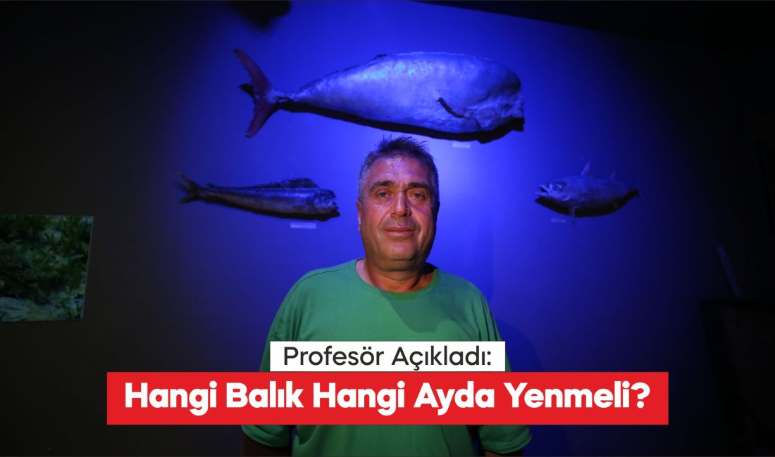 Önemli bir protein kaynağı olmasının yanı sıra vitamin ve mineral