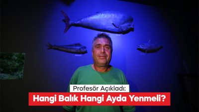 Önemli bir protein kaynağı olmasının yanı sıra vitamin ve mineral