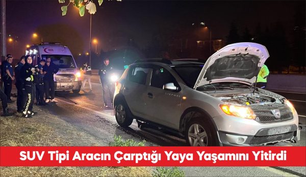 Tekirdağ'ın Çorlu ilçesinde SUV tipi aracın çarptığı yaya yaşamını yitirdi.